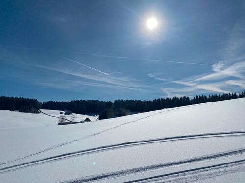 Foto - Ferienwohnung Schönwald im Schwarzwald
