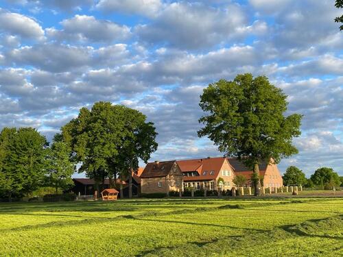 Foto - Erdgeschoßwohnung in Greven zur Miete