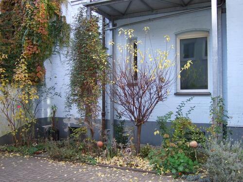 Foto - Etagenwohnung in Nürnberg