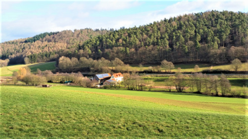 Foto - Möblierte 2-Zimmerwohnung - 490,00&nbsp;EUR Kaltmiete, ca.&nbsp; 61,00&nbsp;m&sup2;