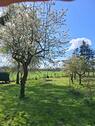 Foto - Einfamilienhaus, Doppelhaushälfte in Schimm