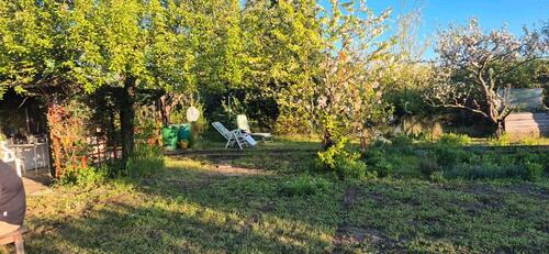 Foto - Pachtgarten Kleingarten am Hopfengarten in Magdeburg abzugeben