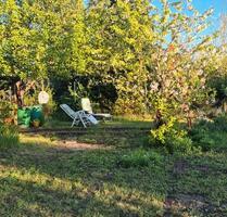 Pachtgarten Kleingarten am Hopfengarten in Magdeburg abzugeben