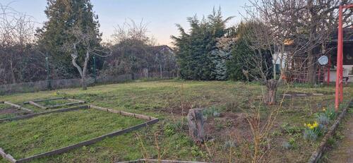 Foto - Grundst&uuml;ck in Magdeburg zur Miete