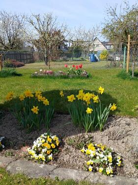 Foto - Grundst&uuml;ck zur Miete in Salzgitter