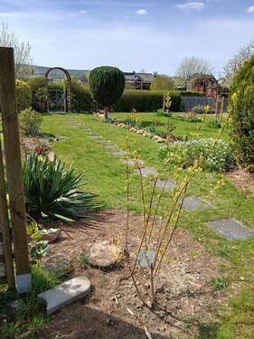 Foto - Grundst&uuml;ck in Salzgitter zur Miete