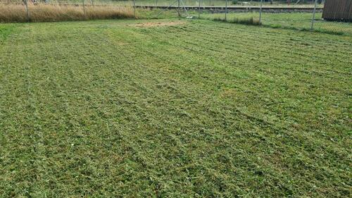 Foto - Wohnwagen Stellplatz zu vermieten