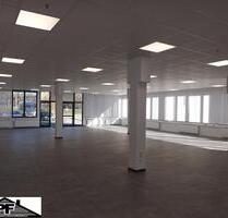 Top BüroGewerbeAusstellungsfläche ca. 337 m² in Braunschweig-Gartenstadt