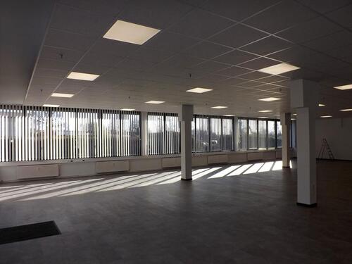 Foto - andere in Braunschweig