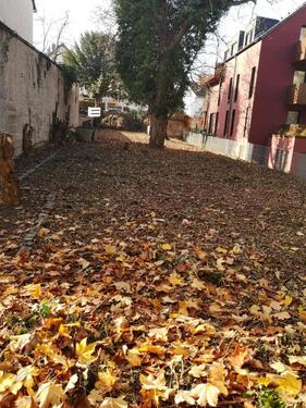 Foto - Grundstück zum Kaufen in Mainz