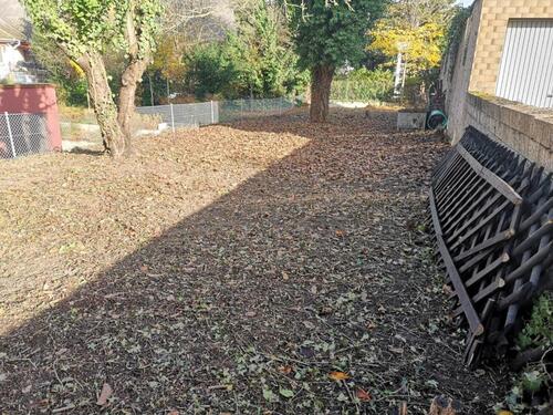 Foto - Grundstück in Mainz zum Kaufen