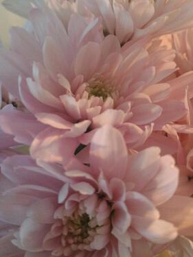 Foto - Eigentumswohnung im Zentrum von Neumünster zu verkaufen