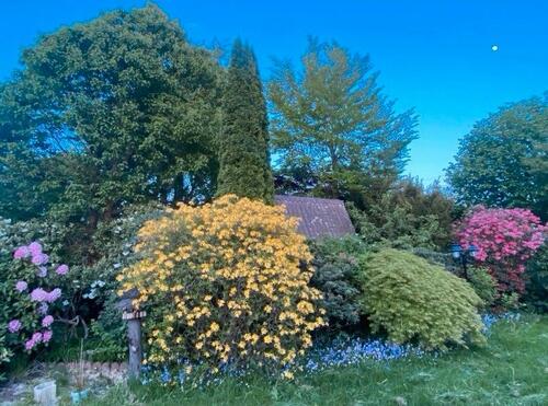 Foto - Mehrfamilienhaus, Wohnhaus in Senden zum Kaufen