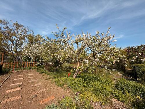 Foto - Grundst&uuml;ck in Magdeburg