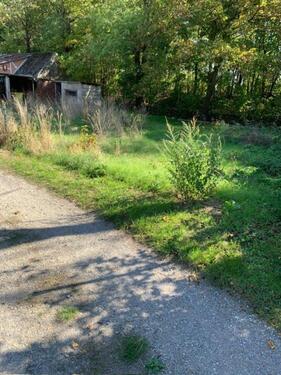 Foto - Einfamilienhaus in Schönebeck (Elbe)