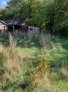 Foto - Einfamilienhaus in Schönebeck (Elbe) zum Kaufen