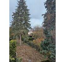 Garten zu verpachten in Mayen - 20,00 EUR Kaltmiete, ca.  0,00 m² in Mayen (PLZ: 56727)