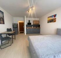 Möblierte 1-Zimmer-Studio-Wohnung mit großem Balkon in LU - Ludwigshafen am Rhein Mundenheim