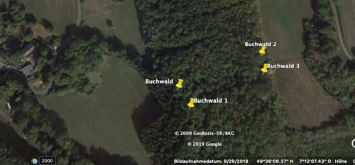 Foto - Grundstück in Birkenfeld