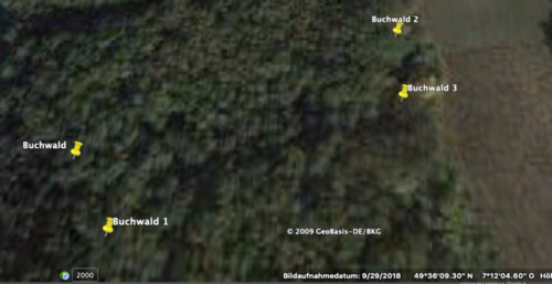 Foto - Grundstück in Birkenfeld zur Miete