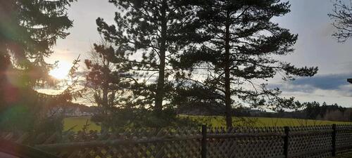 Foto - 5 Zimmer Etagenwohnung zur Miete in Marktleugast