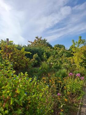 Foto - Grundst&uuml;ck in Havelberg zur Miete