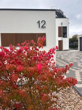 Foto - Garage zur Miete - 100,00&nbsp;EUR Miete,
