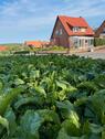 Foto - Einfamilienhaus in Holle Sillium