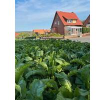 Einfamilienhaus in Holle Sillium