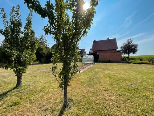 Foto - Einfamilienhaus in Holle zum Kaufen
