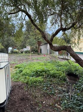 Foto - Einfamilienhaus in Dahlen zum Kaufen