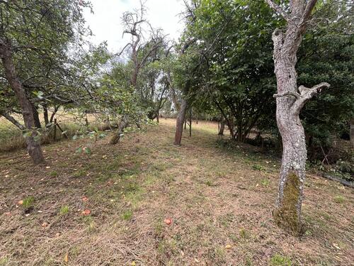 Foto - Grundst&uuml;ck zur Miete in Rothselberg