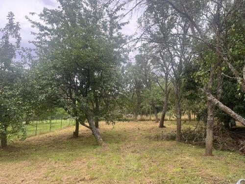 Foto - Grundst&uuml;ck in Rothselberg