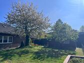 Foto - Bungalow in Tecklenburg zum Kaufen
