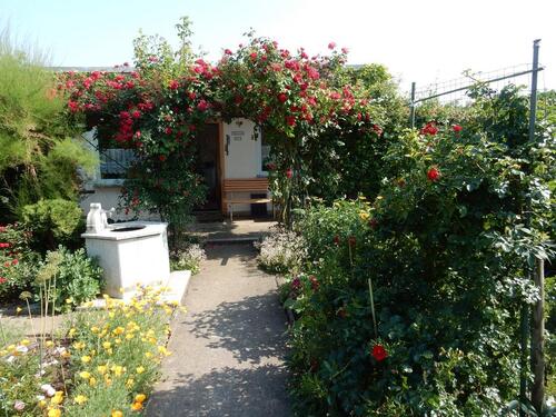 Foto - Pachtgarten in kleiner Gartenanlage in GothaOst