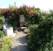 Pachtgarten in kleiner Gartenanlage in GothaOst