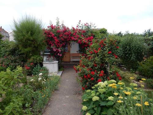 Foto - Grundstück in Gotha