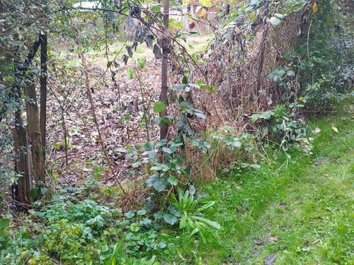 Foto - Erholungsgrundstück - 500,00&nbsp;EUR Kaltmiete, ca.&nbsp; 0,00&nbsp;m&sup2;