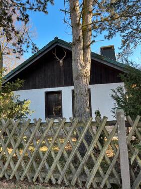 Foto - 1 Zimmer Bungalow zum Kaufen in Machern