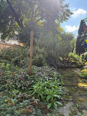 Foto - Einfamilienhaus in Oberderdingen