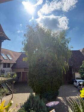 Foto - Einfamilienhaus in Oberderdingen zum Kaufen