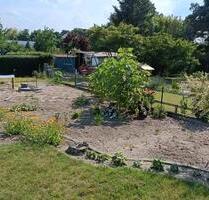 Pachtgarten abzugeben - 3.000,00 EUR Kaltmiete, ca.  0,00 m² in Jessen (Elster) (PLZ: 06917)