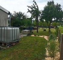 Schrebergarten in Lübben abzugeben - Lübben (Spreewald)