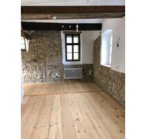 Außergewöhnliches Appartement in Worms-Pfeddersheim - Dorn-Dürkheim