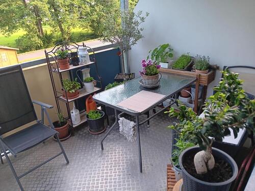 Foto - Super sonnige Zweiraumwohnung - 280,00 EUR Kaltmiete,