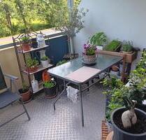 Super sonnige Zweiraumwohnung - 280,00 EUR Kaltmiete, in Bischofswerda (PLZ: 01877)