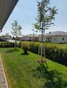 Foto - Einfamilienhaus zum Kaufen in Schorfheide