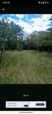 Foto - garten Kleingarten im KGV sonniges Land Rühme Braunschweig