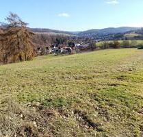 Wiese Weide Ackerland zu verpachten 3500 - Delligsen