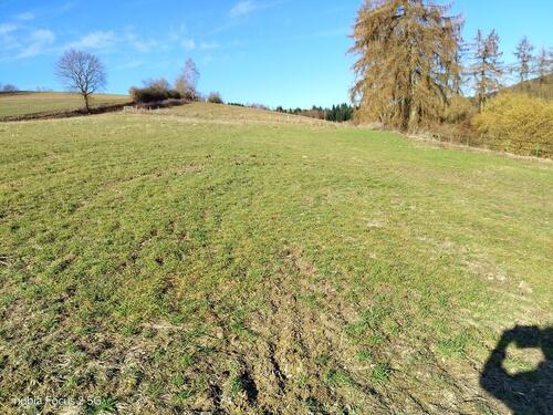 Foto - Grundst&uuml;ck in Delligsen